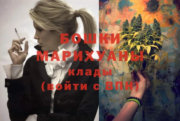 спайс Снежногорск